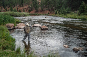 A landscape oriented color image of a man casting his fly fishing line into moving river water on a cloudy day. He stands in calf high water close to the riverbank with his right arm extended revealing his pole and segments of the fishing line as it travels towards the middle of the river. The man's back is to the camera. He wears gray waders and a brown vest, and a round tan fishing hat. A net is tucked into his belt and it is stowed next to his back. The river is calm near where he stands but small rapids are visible just down stream. The riverbank on the left side of the photo is covered with grasses and reeds. In the distance willow bushes are visible. The far side of the river has similar plants along with conifer trees. Some reddish tan boulders are in the water near the man. They have white shading on the bottom sides indicating that the water level is not at it's highest. Budinoff Photography