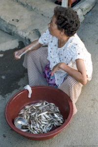 In this portrait photograph, a mature woman sits in front of a large maroon colored bowl of small silver colored fish that are partially submerged in water. A small stainless steel bowl for serving the fish rests on top of the fish and a small limp white towel rests on the edge of the bowl. The woman has short brown wavy hair and is looking away from the camera. She wears a short sleeved white blouse and a long patterned skirt. She is fanning herself. The marketplace is outdoors but in the shade. The rough concrete floor and steps are clean. Budinoff Photography